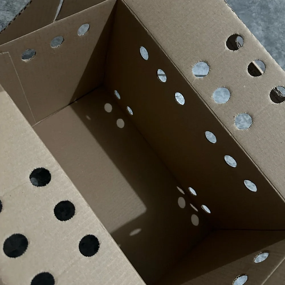 Petco Cardboard Cat Carrier 18.5